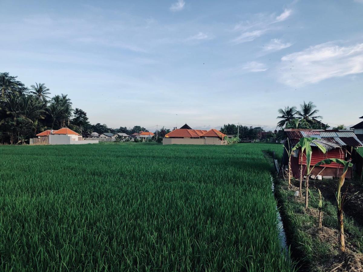 Umagama Villas Ubud Zewnętrze zdjęcie