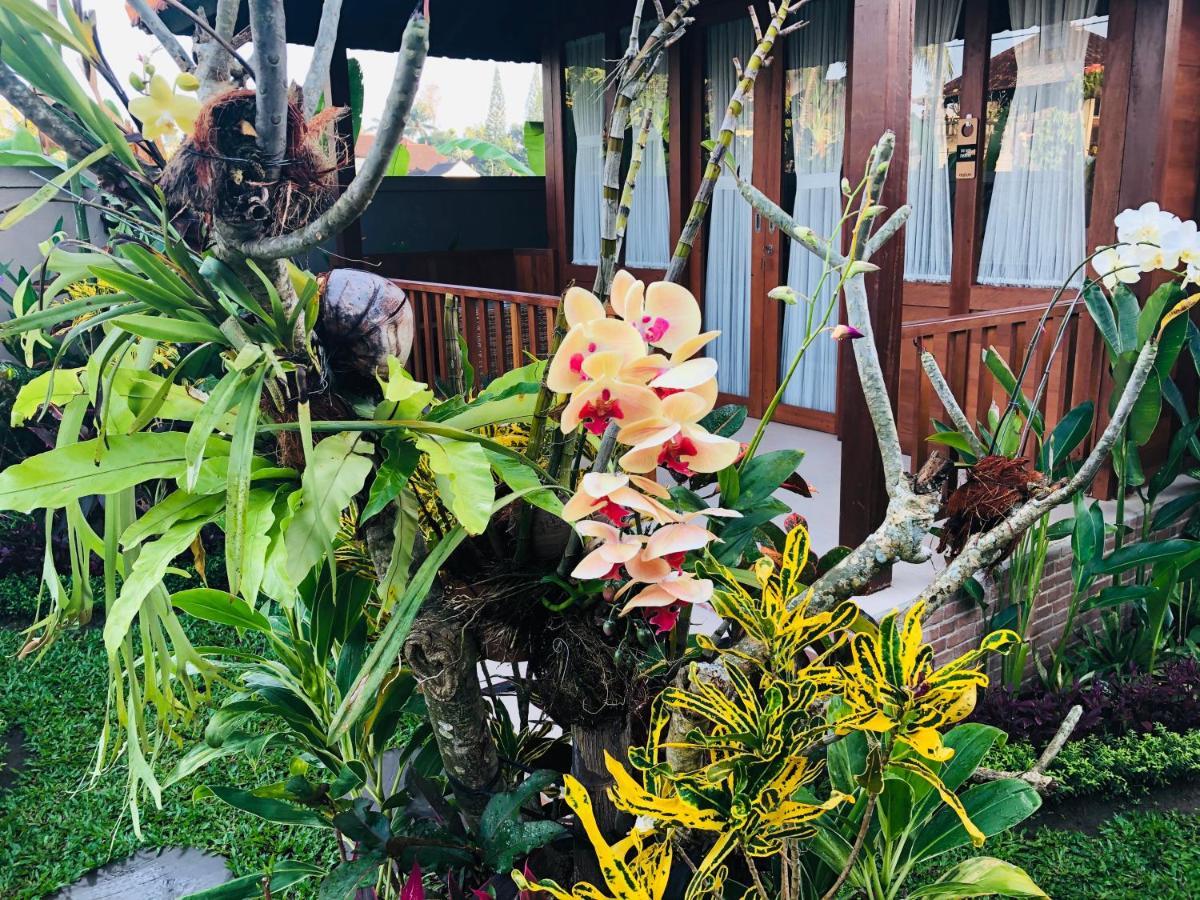 Umagama Villas Ubud Zewnętrze zdjęcie