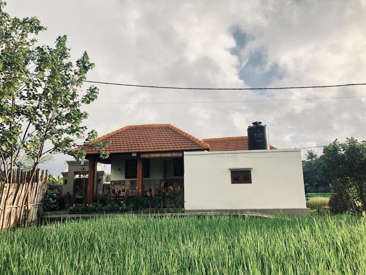 Umagama Villas Ubud Zewnętrze zdjęcie